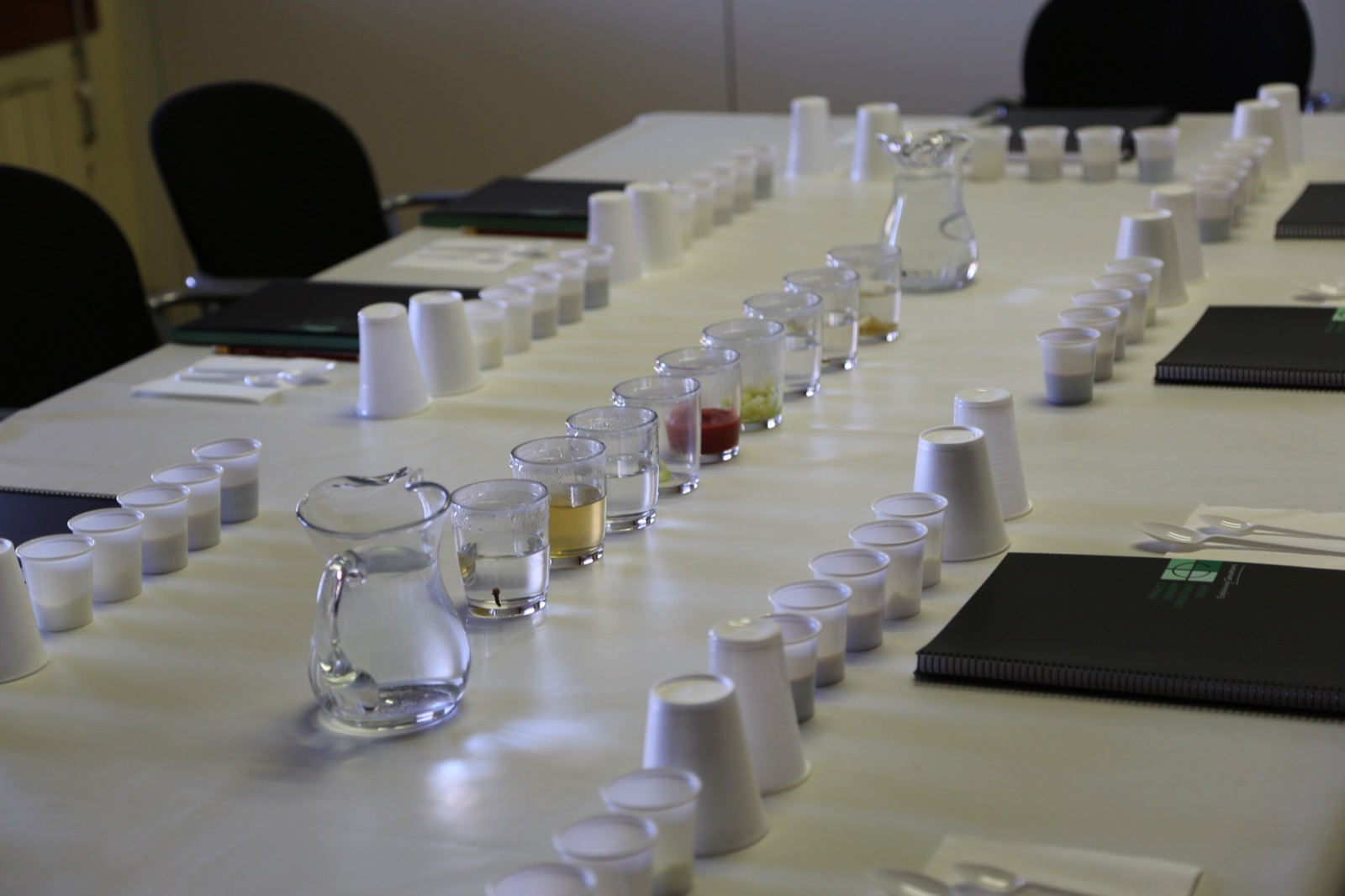 Mesa de cata preparada con las muestras codificadas, los vasos y las jarras antes de una sesión de panel
